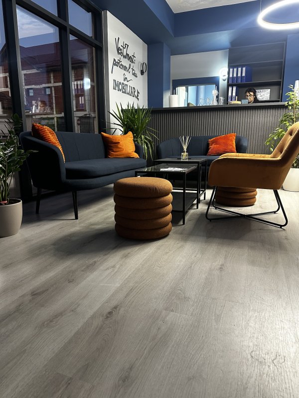 Imagine companie WISDOM INVEST SRL